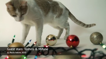 The DSA Package: An Introduction