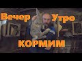 Кормим кроликов ,вечер ,утро .Кроличье хозяйство .Жизнь в деревне.