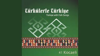 Entarisi Ala Benziyor