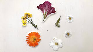 Gerçek Çiçekten Sticker Yapımı 🌸 How To Make Fresh Flower Sticker screenshot 2