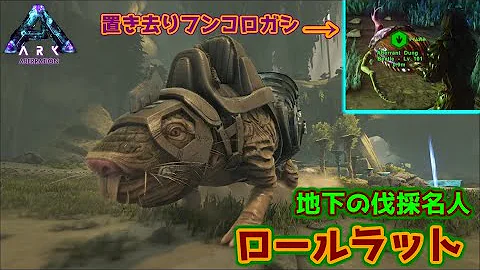 تحميل ロールラット Mp4 Mp3 تحميل ロールラット Mp4 Mp3