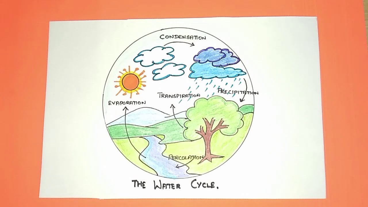 how to draw water cycle