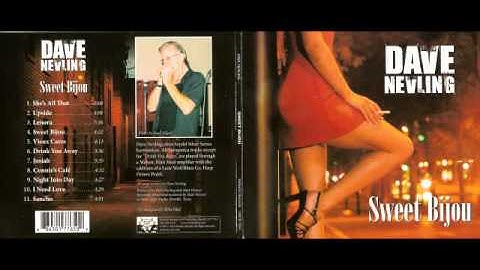 Dave Nevling - Drink You Away