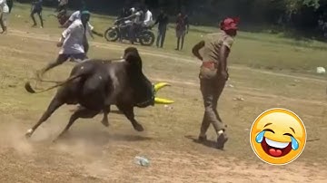 Try Not to Laugh Challenge #1 🤣 Best Fails of the Week