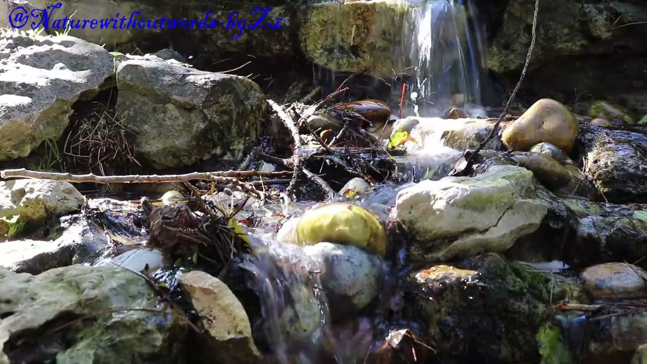 Relaxing Piano music - Soothing relaxation with the natural sound of stream and with calming music