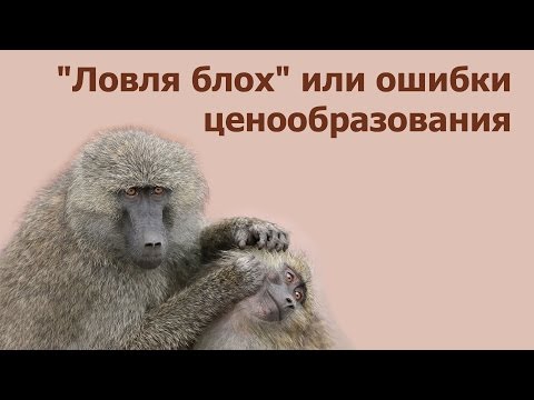 "Ловля блох" или ошибки ценообразования - Екатерина Бузукова