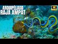 🐙Arquipélago de RAJA AMPAT | A Vida Marinha Mais Rica do Mundo Está Aqui | Segredos de Raja Ampat 🪸