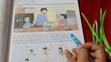 Team heritage ..class 4 ..topic Senses of touch and smell..lecture 1