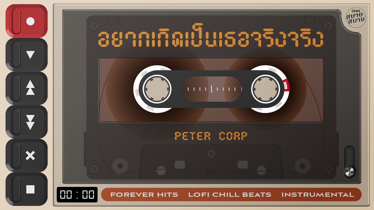 อยากเกิดเป็นเธอจริงจริง - PETER CORP | Lo-Fi Music 【Instrumental Version】