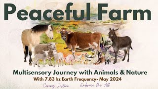 Peaceful Farm: Multisensory  Animals & Nature Journey (with Earth's 7.83 hzgrounding/cleansing)