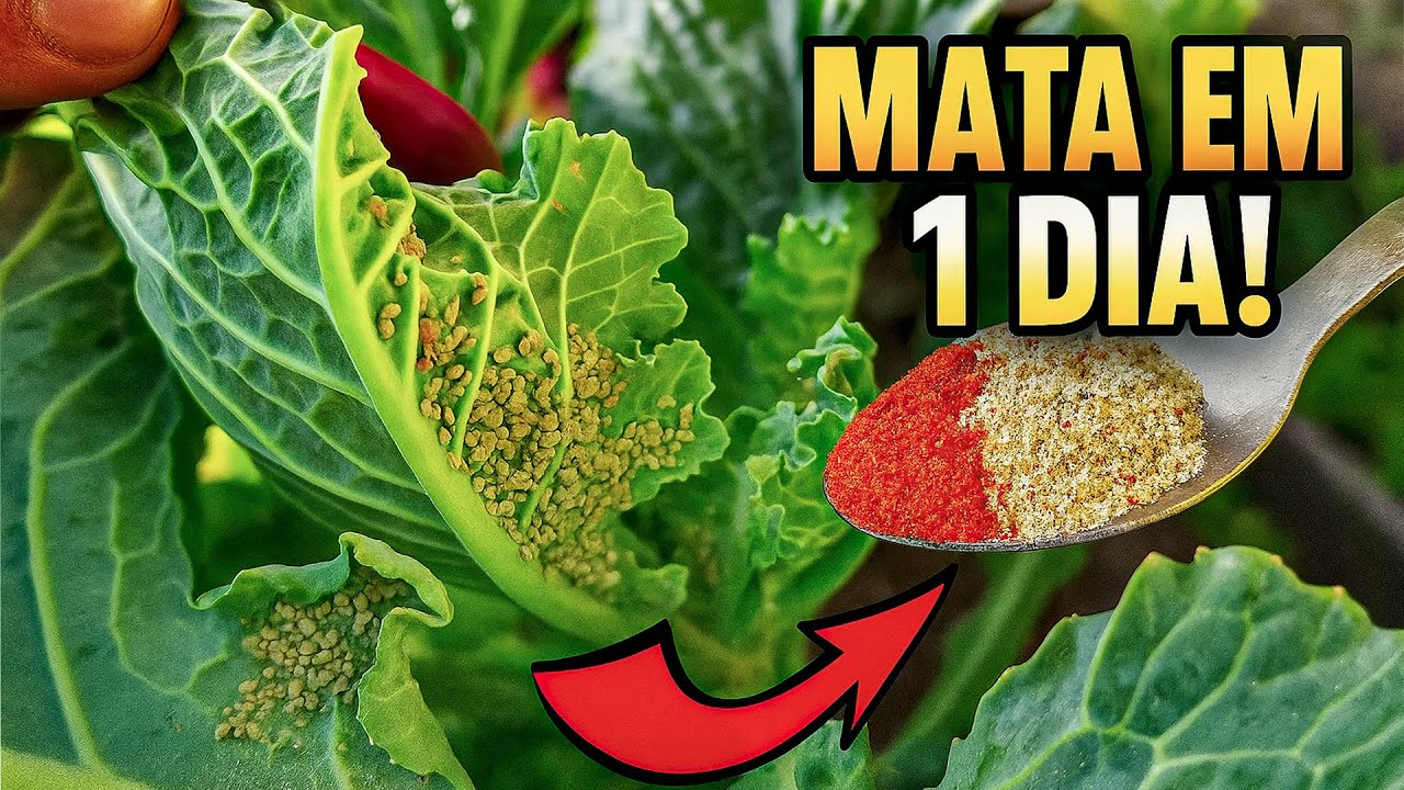 CHEGA DE PRAGAS! Só R$1,99 Mistura Caseira Elimina Pragas na Horta em 1 Dia