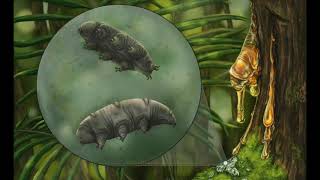 Tardigrada - BIOL 111, Fall 2023, LMU