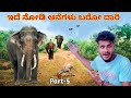  wild elephant attack lastkarnataka village vlog