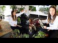 Moving My Plants Indoors for Winter! | Finding Space for New Houseplants!