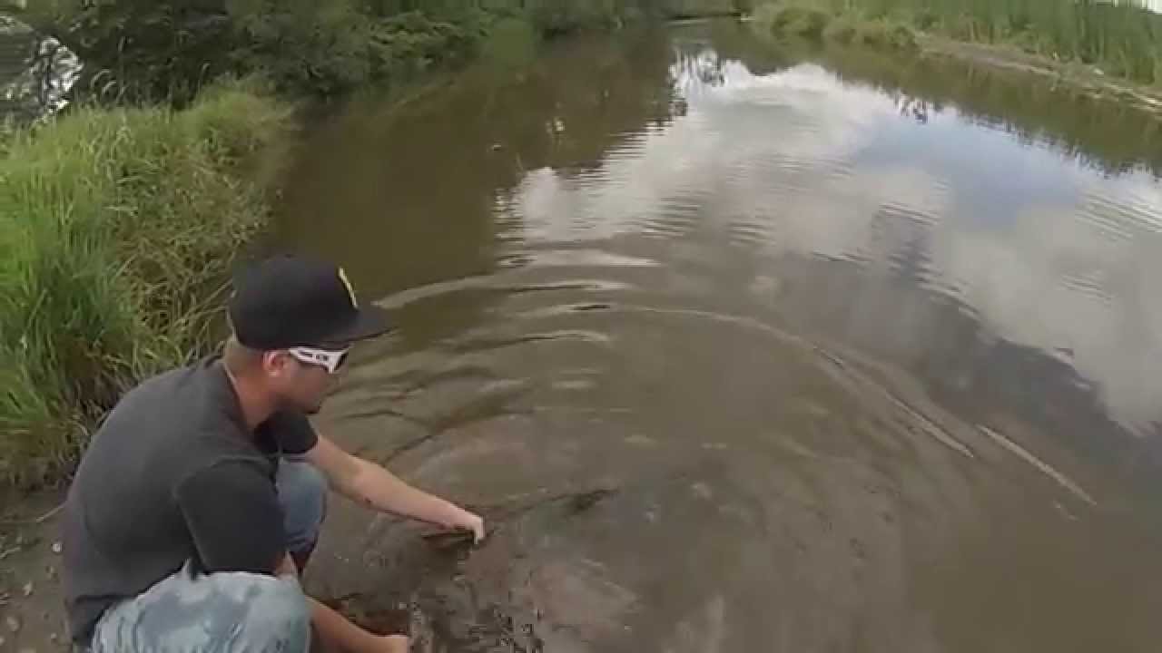 Lake Ontario Tributary Chinook Salmon - Active Angling