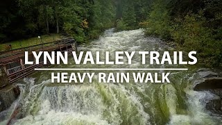 Heavy Rain Autumn Virtual Walk in Lynn Valley trails, North Vancouver BC Canada