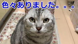 【近況報告】ながーーーい夏休みを頂きました