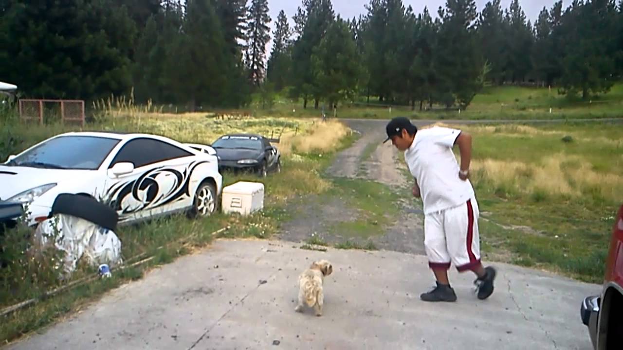 powwow dancing to hip hop