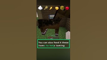 How  to Tame Horse, Mule, Donkey and Skeleton Horse | Minecraft Basics