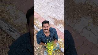 Vishu Special Comedy