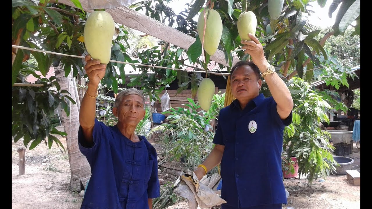 จังหวัดสกลนคร โครงการส่งเสริมการเกษตรแบบผสมผสาน