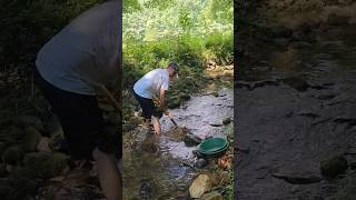 Is GOLD really everywhere in Georgia?