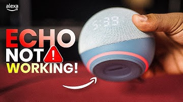 Echo Dot Not Working? — Fixed Not Responding and Frozen Problem