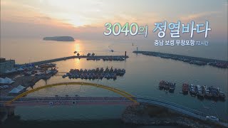 [다큐3일] '3040의 정열바다, 무창포항'편 / KBS 20191101 방송