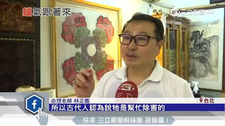燕子吉祥、蝙蝠带福　动物进门意义大不同｜三立新闻台 - 天天要闻