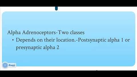 Pharmacology - autonomic nervous system