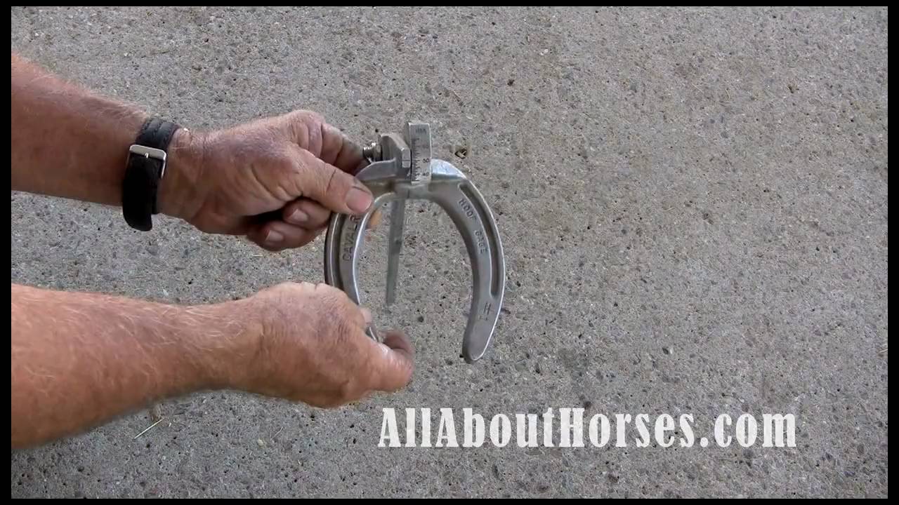 Farriers Tools and Shoe Removal Demonstration YouTube