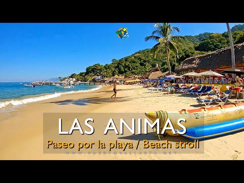 Playa Las Ánimas / Las Animas Beach, Cabo Corrientes, Jalisco, Mexico
