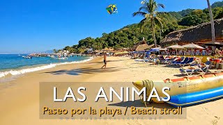 Playa Las Ánimas / Las Animas Beach, Cabo Corrientes, Jalisco, Mexico