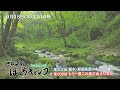 9/18(水)よる10時「ヒロシのぼっちキャンプ」那須高原のキャンプ場へ!美しい清流沿いの心地よさにとまらない感動と興奮!