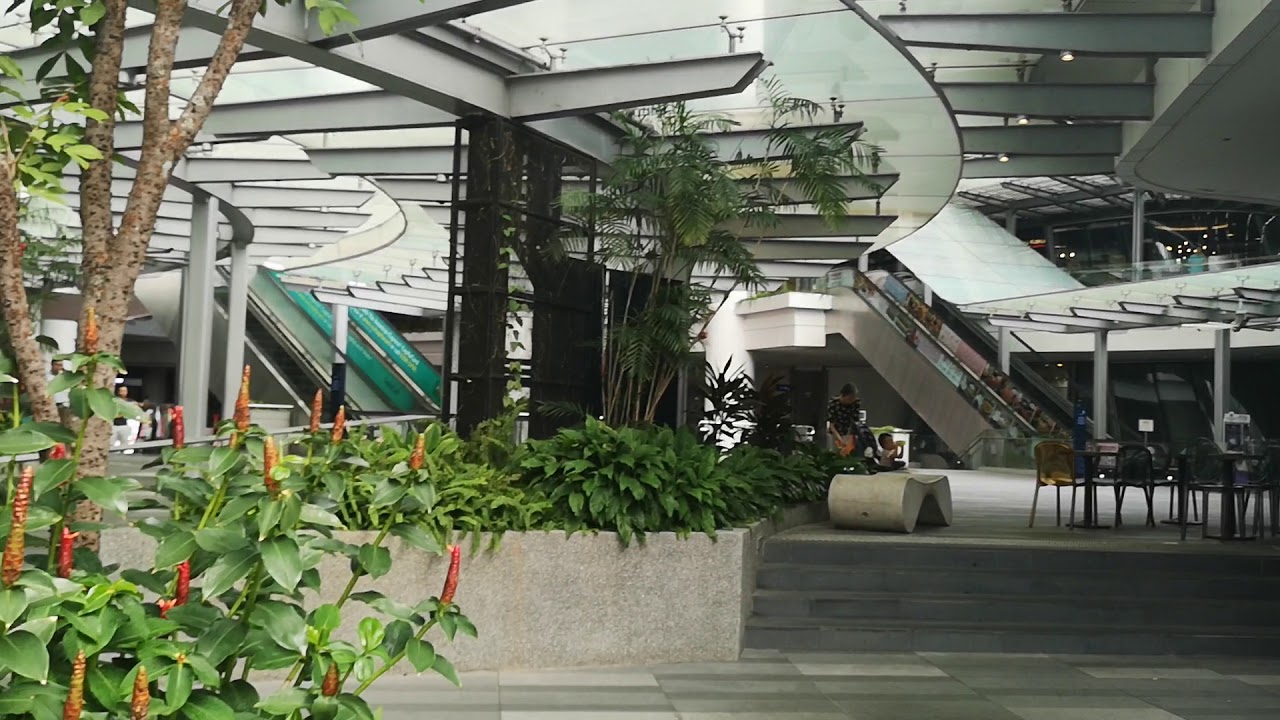 Cedele Cake House And Greendot Star Vista Entrance YouTube