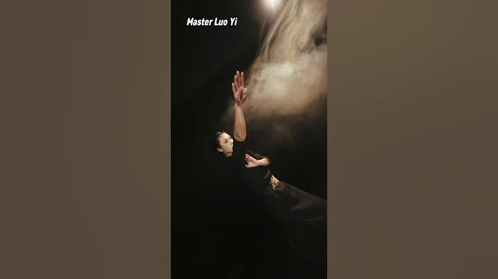 Master Offense and Defense in Martial Arts - Master Luo Yi