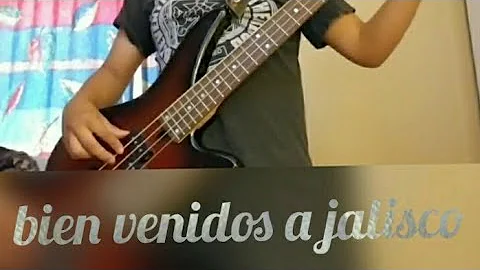 Bien venidos a jalisco bass cover - melvin_bass_oficial