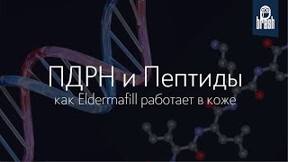 видео: Механизм работы ПДРН и Пептидов. Елена Брашавецкая простым языком объяснила как работает ELDERMAFILL картинка: Механизм работы ПДРН и Пептидов. Елена Брашавецкая простым языком объяснила как работает ELDERMAFILL