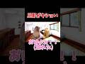 【猫ミーム】旦那がキショいすぎるんですけどww #shorts #猫ミーム #実話