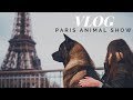 VLOG #1 | PARIS ANIMAL SHOW 2019  || Malcolm The Akita
