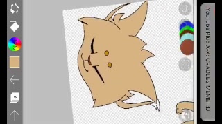 Drawing Cats and Cat Anatomy