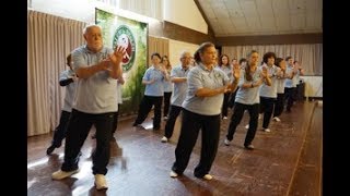 Tai Chi Workshops I Dr Paul Lam I MTs Demonstrating the 73 Forms Ashville, USA, 2017