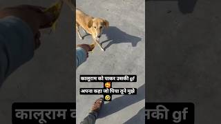 अपना कहा जो पिया तूने मुझे 🥰।#kalu #gf #pets #cuteanimal #ytshorts