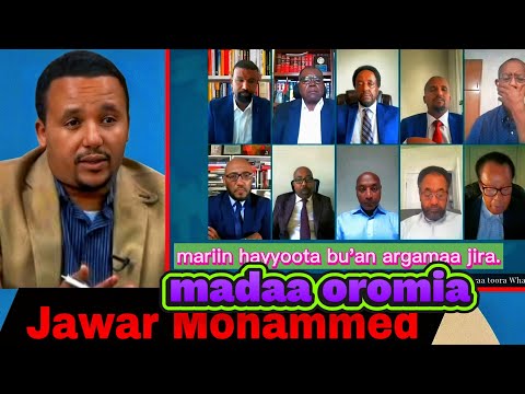 Polotics Oromiapolitics 2ffaa Hayyoonnii Tokkomun Bu A Isa Fi Maal Irratti Wali Galaa Hanga Dhuma
