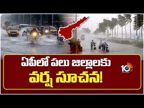 ఏపీలో పలు జిలాలకు వర్ష  సూచన! | Heavy Rains Alerts To AP Districts | 10TV NEWS - 10TVNEWSTELUGU