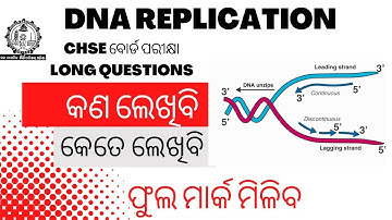 DNA REPLICATION || BUREAU BOOK || CHSE LONG QUESTION SELECTION || 2022-23 ||