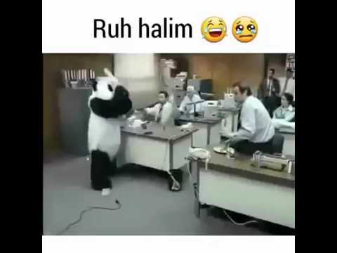 Ruh Halim 😂 😭 ( Komik Panda Videosu )