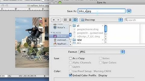 Sizing Photos for Email : Graphic Design