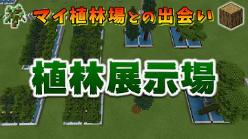 樫の植林 Mp3