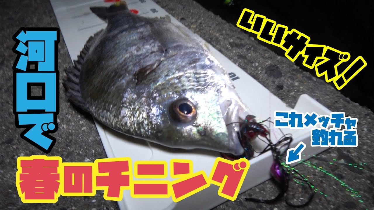 ズル引きチニングでオススメのリグとワームを紹介します Youtube ズル引きチニングでオススメのリグとワームを紹介します Youtube